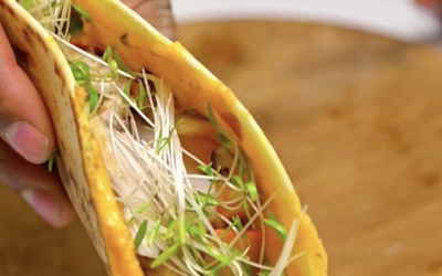 Les graines germées pour une alimentation complète