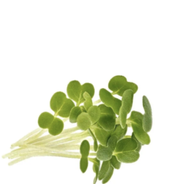 Wasabi