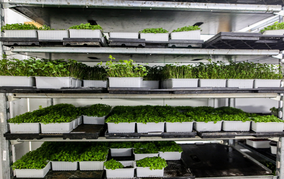 Entreprise familiale depuis 1986