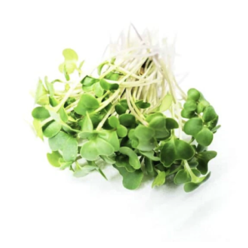 Brocoli