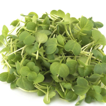 Radis daikon
